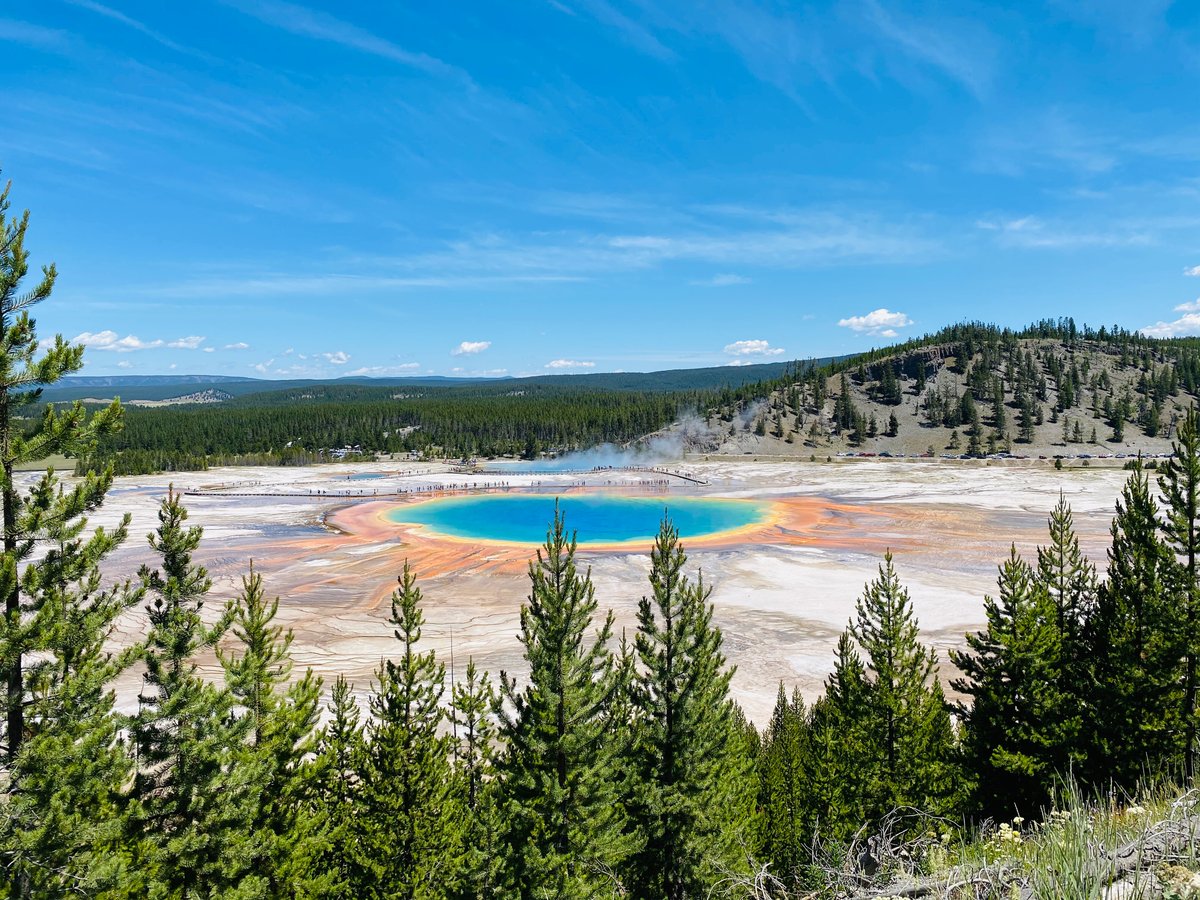 Morning Glory, Yellowstone