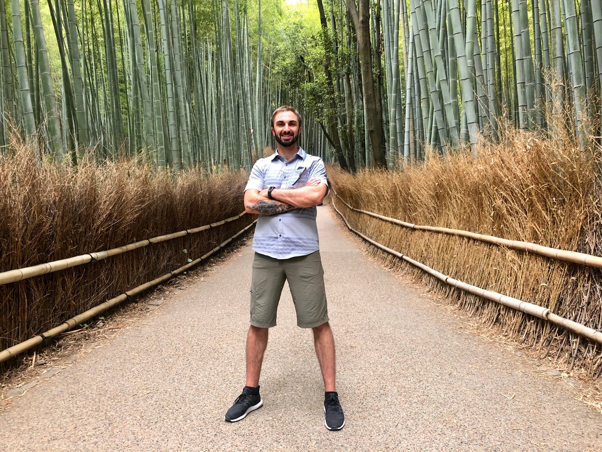 Curtis Japan bamboo forest 